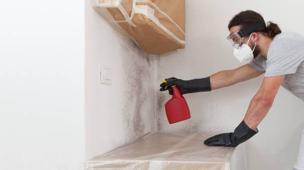 Professional Bathroom Mold Removal technician working in Mathews, VA